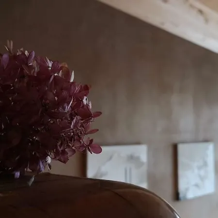 Daire S'obadoba - Penthouse Falkeis *