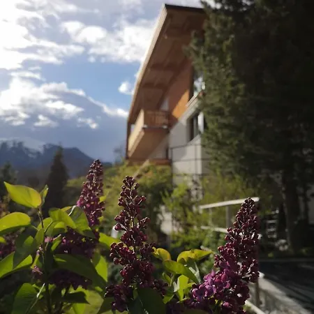 S'obadoba - Penthouse Falkeis